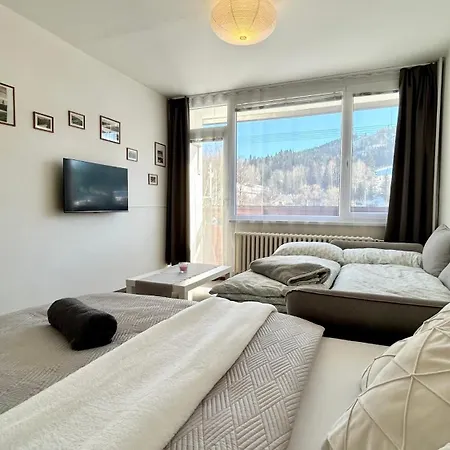 Apartman Amalka Pod Tanvaldskym Spicakem Jiretin pod Bukovou Exterior photo