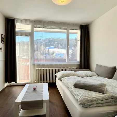 Apartman Amalka Pod Tanvaldskym Spicakem Jiretin pod Bukovou Exterior photo